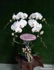 shop hoa tươi thanh duyên giao hoa tận nhà thành phố cà mau