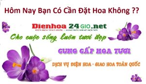shop hoa tươi trần văn thời