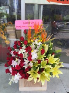 top 5 shop hoa đẹp điện hoa online hoa tươi đẹp