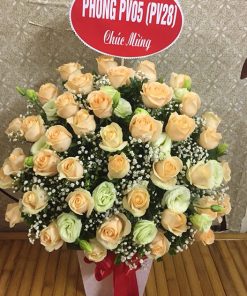 ĐIỆN HOA CHÚC MỪNG